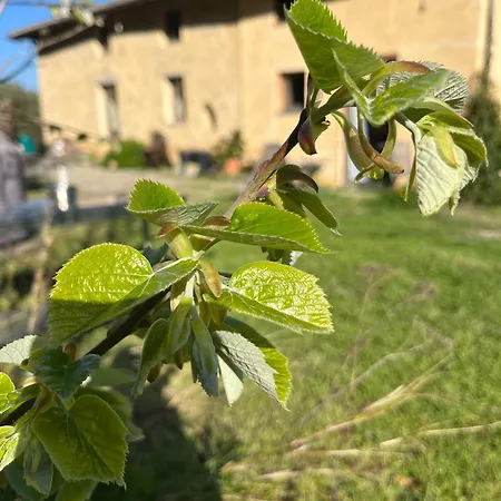 Eco Avec Vue Sur Chiatra