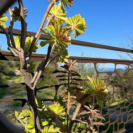 Eco Avec Vue Sur * Chiatra