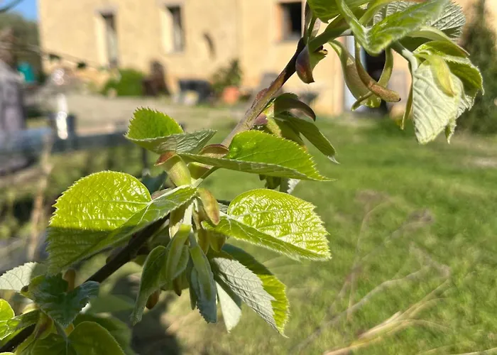 Eco Avec Vue Sur Chiatra