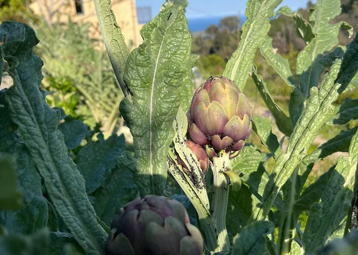 Prázdninový dům Eco Avec Vue Sur *