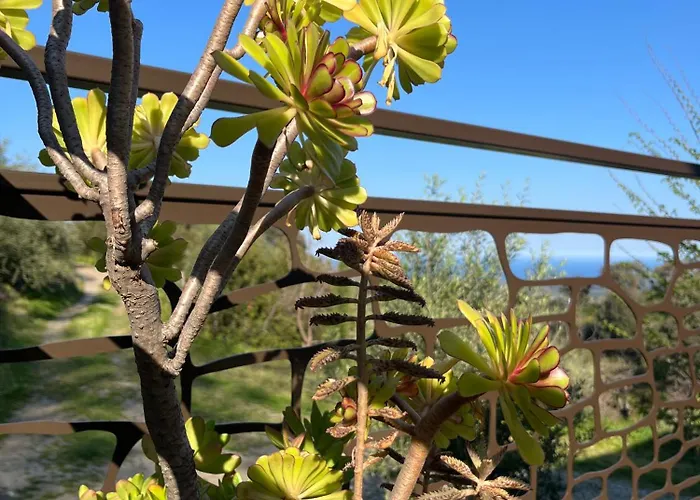 Eco Avec Vue Sur * Chiatra