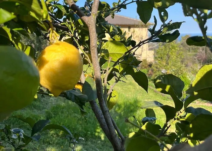 Prázdninový dům Eco Avec Vue Sur *